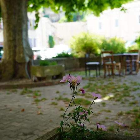 Oustal De Hostel Bourdeaux